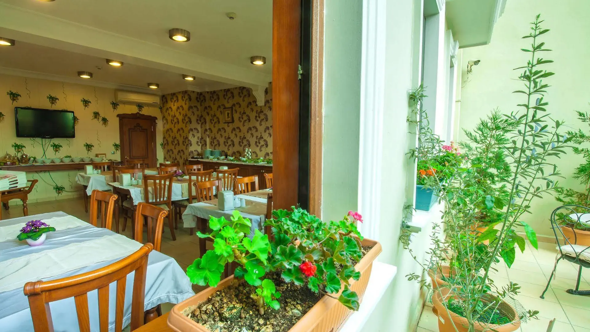 ***  Saba Sultan Hotel Istanbul Turkey